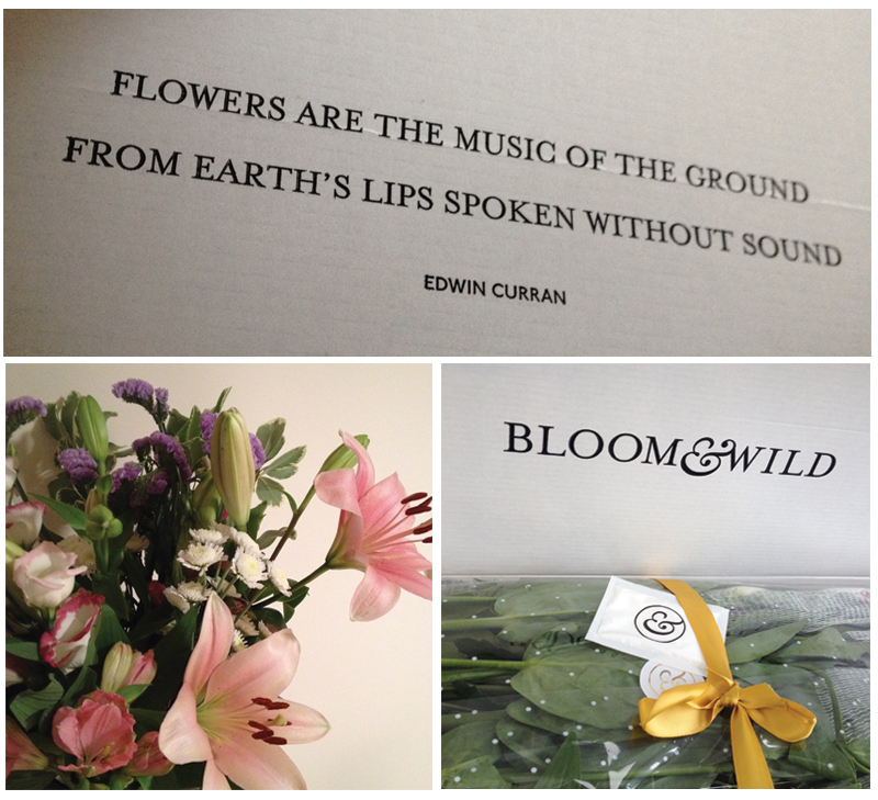 bloom-and-wild