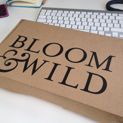 bloom-box