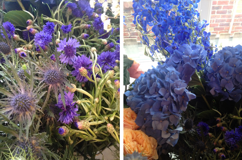 Flower Delivery Close ups - Cornflowers, blue delphinium, blue hydrangeas