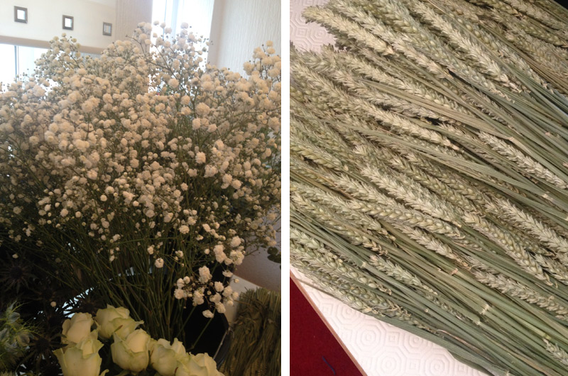 Flower Delivery Close ups - gypsophila, wheat